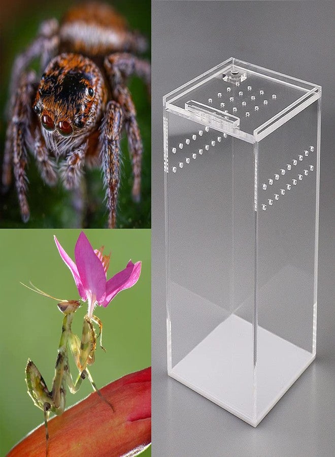 NANEEZOO Magnetic Acrylic Case, 2.9x2.9x6 Inch Nano Arboreal Tarantula Enclosure Reptile Habitat Terrarium Breeding Box for Spider Scorpion Sling Isopods Lizards Invertebrates Insect Mantis - Image 5